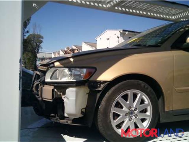 палитра dark academia. коричневый разбор. маракеш браун b09 ваз. цветовая палитра дарк академия. коричневый разбор.