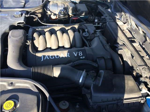 Осушитель Jaguar XJ 1997–2003 1998