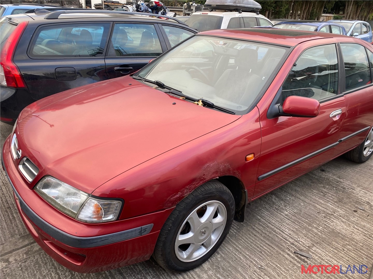 Недавно поступивший автомобиль Nissan Primera P11 1996-1998 - разборочный  номер t24905