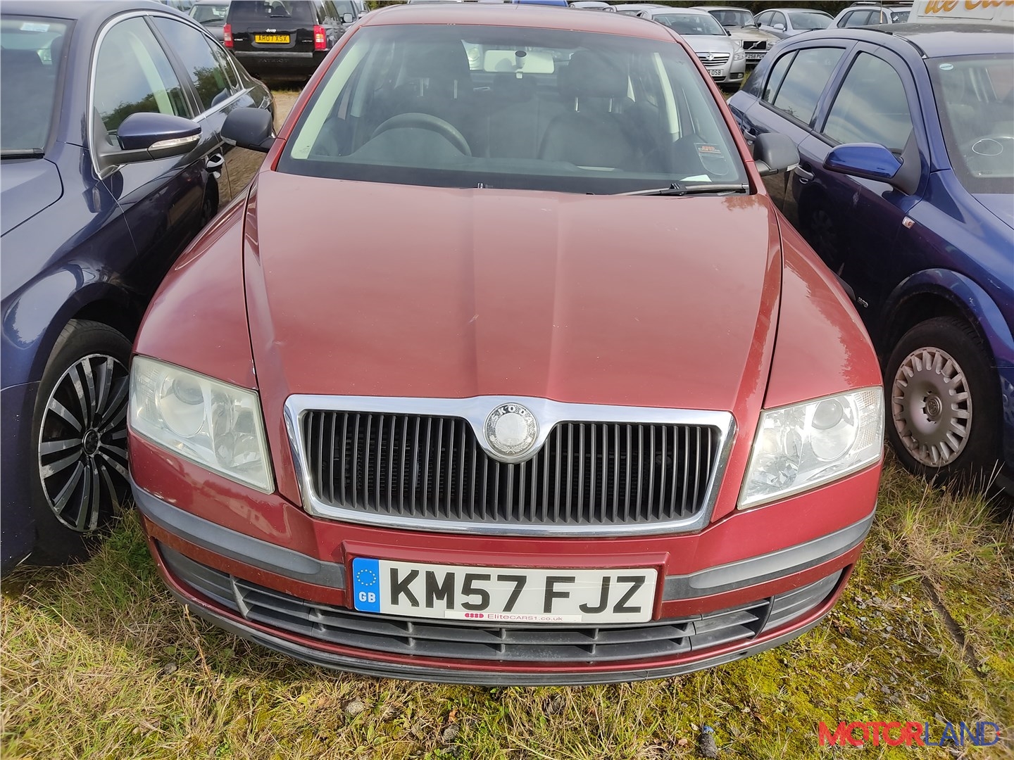 Недавно поступивший автомобиль Skoda Octavia (A5) 2004-2008 - разборочный  номер x2213