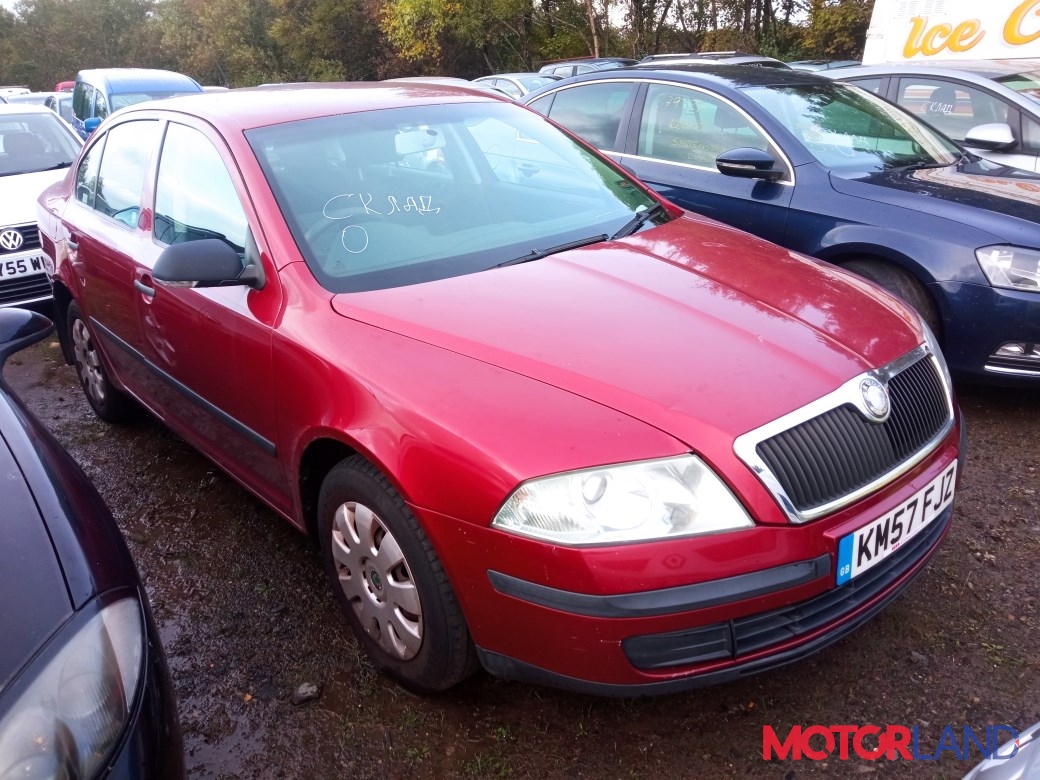 Недавно поступивший автомобиль Skoda Octavia (A5) 2004-2008 - разборочный  номер x2213