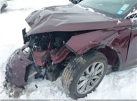 2021; 2л; Бензин; EcoBoost; Джип (5-дверный); бордовый; США; разб. номер 17475 #13