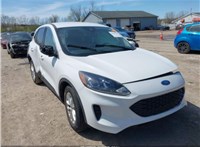 2020; 1.5л; Бензин; EcoBoost; Джип (5-дверный); белый; США; разб. номер L594 #1