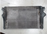  Радиатор интеркулера Seat Alhambra 2000-2010 4265563 #2