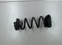 55020CA000 Пружина подвески Nissan Murano 2002-2008 4376716 #1