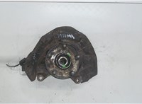 4350228090 Ступица (кулак, цапфа) Lexus RX 2003-2009 4311861 #4