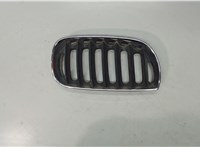  Решетка радиатора BMW X3 E83 2004-2010 5486424 #1