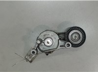  Механизм натяжения ремня, цепи Volkswagen Jetta 5 2004-2010 6038368 #2