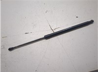 8P3827552D Амортизатор крышки багажника Audi A3 (8P) 2003-2013 6262811 #2