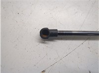 8P3827552D Амортизатор крышки багажника Audi A3 (8P) 2003-2013 6262811 #3