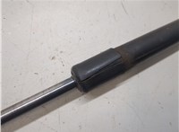 8P3827552D Амортизатор крышки багажника Audi A3 (8P) 2003-2013 6262811 #4