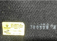 794200020R Полка багажника Renault Megane 3 2009-2016 6524080 #3