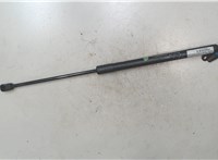  Амортизатор крышки багажника Nissan Murano 2002-2008 6555139 #3