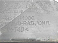 25352H1900 Кожух вентилятора радиатора (диффузор) Hyundai Terracan 6571944 #2