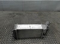  Радиатор интеркулера Peugeot Partner 2002-2008 6636021 #3