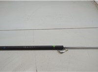 55360171AC Амортизатор крышки багажника Jeep Liberty 2001-2007 6851530 #4