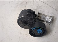 46819146 Натяжитель приводного ремня Fiat Doblo 2000-2015 7020075 #3