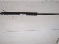 1434296, 6M21R406A10-AD Амортизатор крышки багажника Ford S-Max 2006-2010 7029547 #4