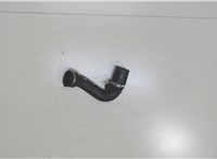 A1601410004 Патрубок интеркулера Smart Fortwo 1998-2007 7079880 #1