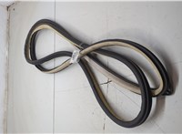 51767333813, 51727193156 Уплотнитель BMW X5 E70 2006-2013 7156030 #2