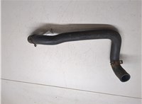 8200233967 Патрубок охлаждения Renault Scenic 2003-2009 7279326 #4