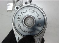  Натяжитель приводного ремня Seat Altea 2004-2009 7307400 #3