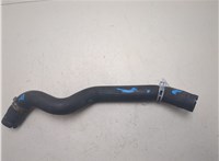 4447828 Патрубок охлаждения Ford Transit 2000-2006 7308359 #2