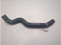 4447828 Патрубок охлаждения Ford Transit 2000-2006 7308359 #7