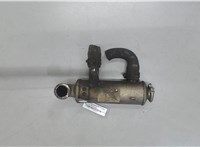  Охладитель отработанных газов Ford C-Max 2002-2010 7377282 #1