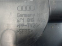 4F1819403 Жабо под дворники (дождевик) Audi A6 (C6) 2005-2011 7418116 #3