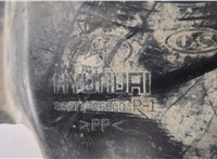 8681526000 Защита арок (подкрылок) Hyundai Santa Fe 2000-2006 7439454 #8