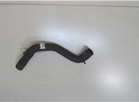  Патрубок охлаждения Renault Clio 2009-2012 7463375 #2