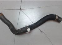  Патрубок охлаждения Renault Megane 3 2009-2016 7481967 #1