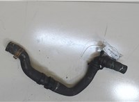  Патрубок охлаждения Renault Megane 3 2009-2016 7536232 #1