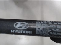  Амортизатор капота Hyundai Santa Fe 2000-2005 7537502 #3