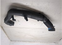 1K0129684L, 1K0129654AJ Воздуховод Volkswagen Golf Plus 7547801 #6
