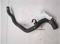 79725S6A000 Патрубок охлаждения Honda Civic 2000-2006 7553940 #4
