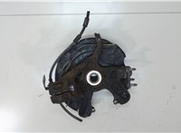 5Q0615124, 5Q0407256N, 5Q0615312D Ступица (кулак, цапфа) Volkswagen Golf 7 2017-2019 7615275 #2