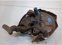  Ступица (кулак, цапфа) Volkswagen Touran 2006-2010 7634038 #7