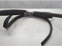 808324832R Уплотнитель Dacia Sandero 2013-2020 7691096 #2