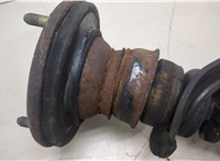 MR554292, MR554261 Амортизатор подвески Mitsubishi Pajero / Montero 2000-2006 7709865 #6