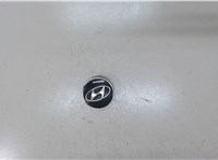 529602M000 Колпачок литого диска Hyundai Santa Fe 2012-2016 7780687 #1