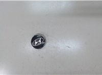 529602M000 Колпачок литого диска Hyundai Santa Fe 2012-2016 7780690 #1