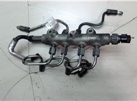  Рампа (рейка) топливная Mazda 6 (GH) 2007-2012 7829798 #1
