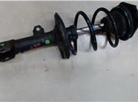 485108Z010, 4813102K20 Амортизатор подвески Toyota Corolla E15 2006-2013 7866513 #4