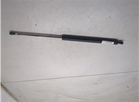 4591203, 4144681 Амортизатор крышки багажника Ford Maverick 2000-2007 7885709 #2