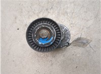038903315AM Натяжитель приводного ремня Volkswagen Passat 7 2010-2015 Европа 7903902 #6