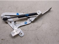 84045963 Петля крышки багажника Chevrolet Camaro 2018- 7905736 #4
