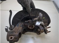 1K0407256AA, 1K0407621F Ступица (кулак, цапфа) Volkswagen Tiguan 2007-2011 7907870 #4