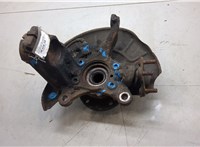 1K0407256AA, 5K0498621 Ступица (кулак, цапфа) Audi A3 (8P) 2003-2013 7943745 #3